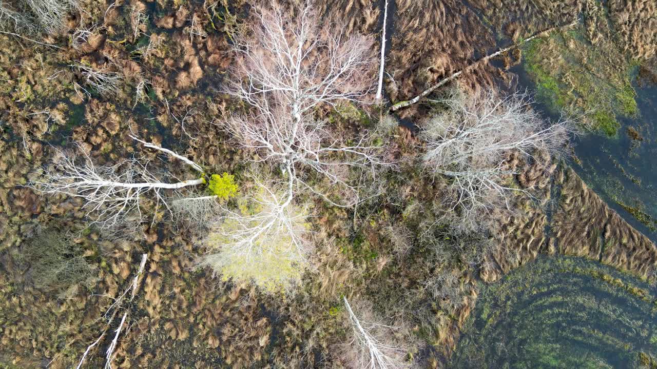 无人驾驶飞机在荒原上飞行视频下载