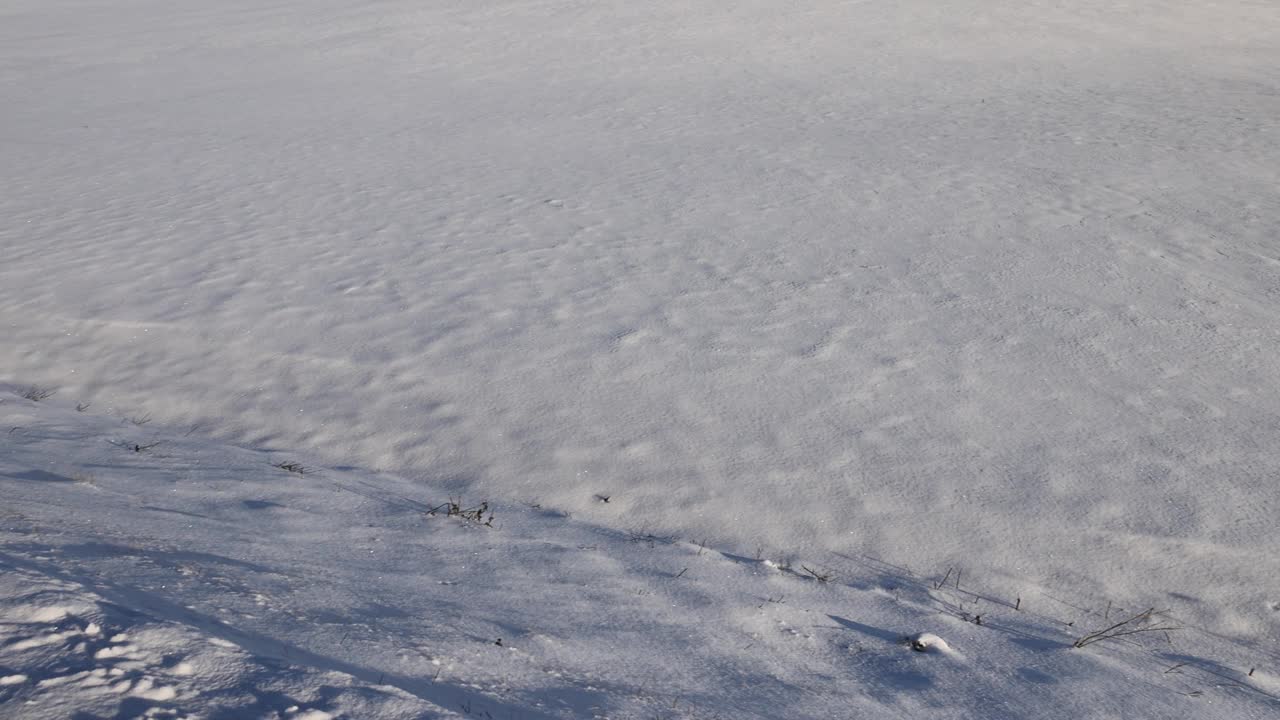 雪后洁白的雪堆视频素材