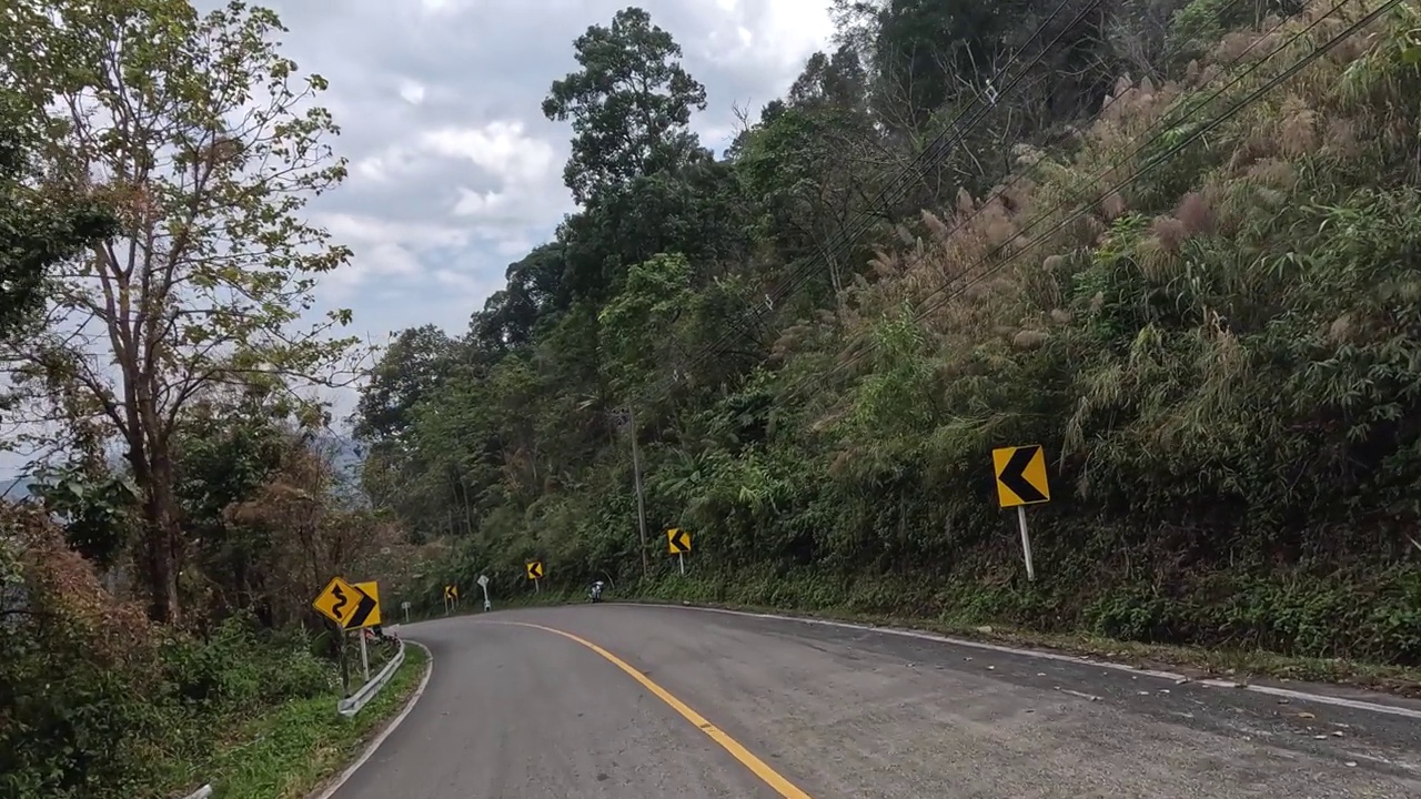 蜿蜒的道路穿过茂密的森林视频素材