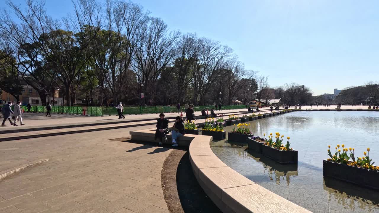 风景优美的公园和池塘全景视频素材