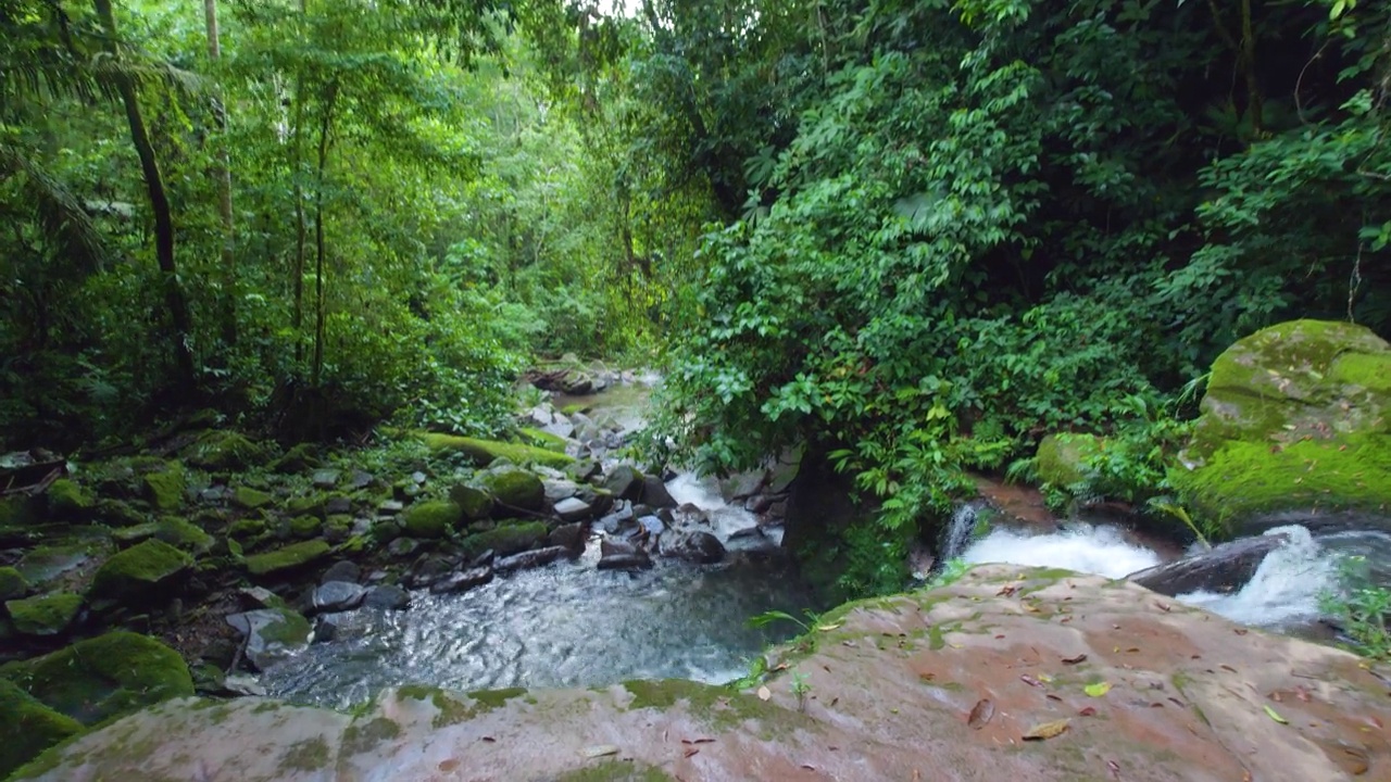 郁郁葱葱的绿色植物环绕着一条宁静的河流在奥萨帕帕，秘鲁，与宁静的水流视频素材