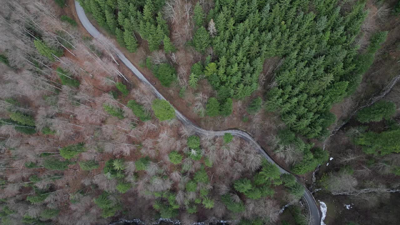 Fronalpstock格拉鲁斯瑞士蜿蜒的道路俯视森林视频素材