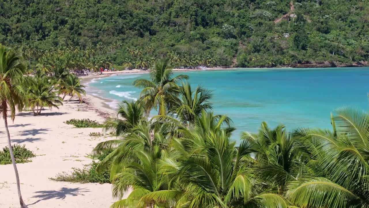 林孔海滩两旁是棕榈树和田园诗般的蓝色加勒比海，航拍视频素材