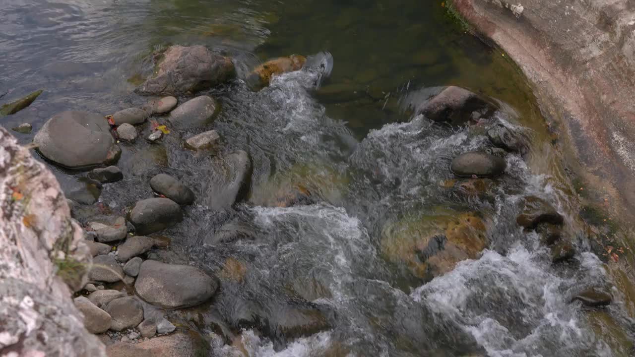 温和的溪流流过岩石，卡琼斯德查梅，巴拿马，宁静的自然景观视频素材