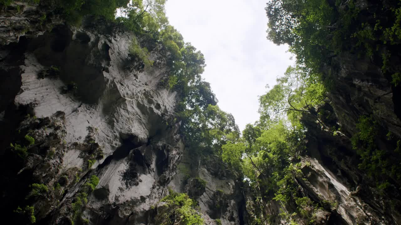 巴图洞穴的石灰岩悬崖和树叶，树冠和岩石露头的天空视图视频素材