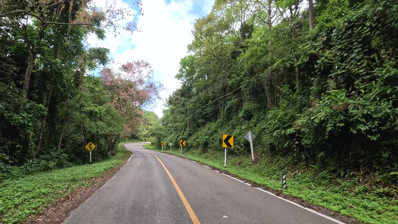 风景秀丽的森林公路之旅视频素材