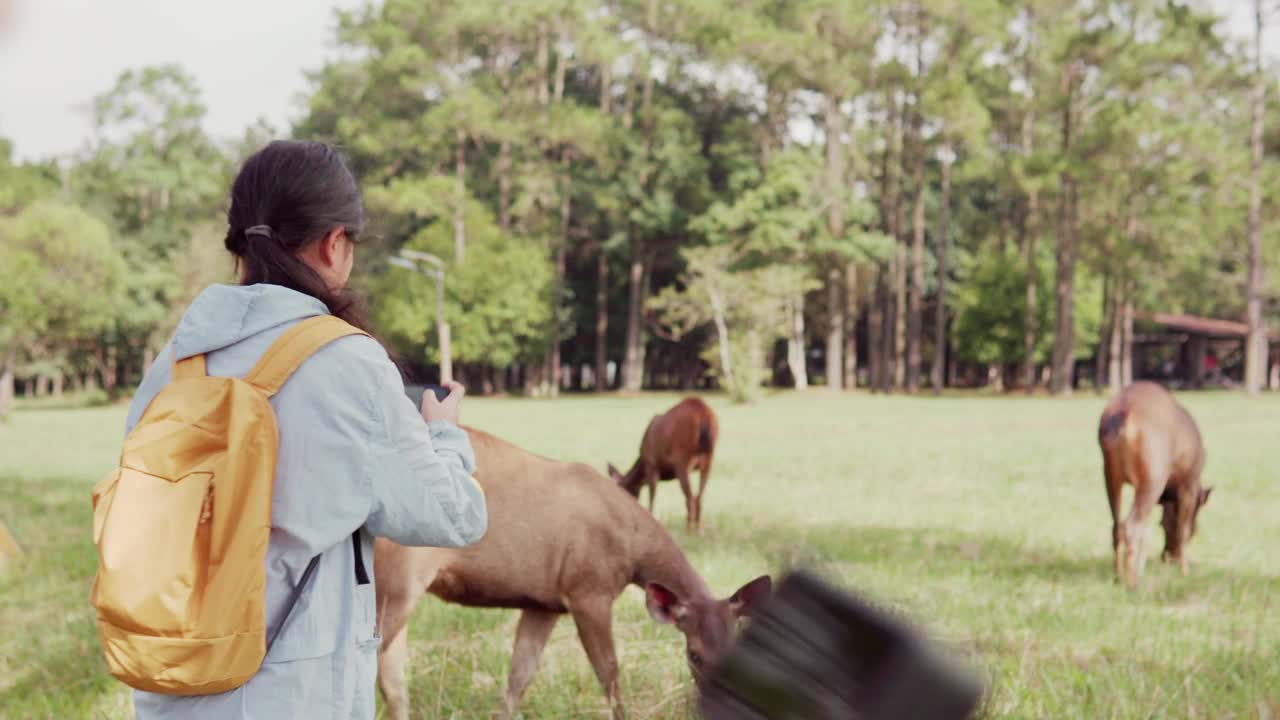 孩子们拿着相机在野外露营，拍摄野生动物视频素材