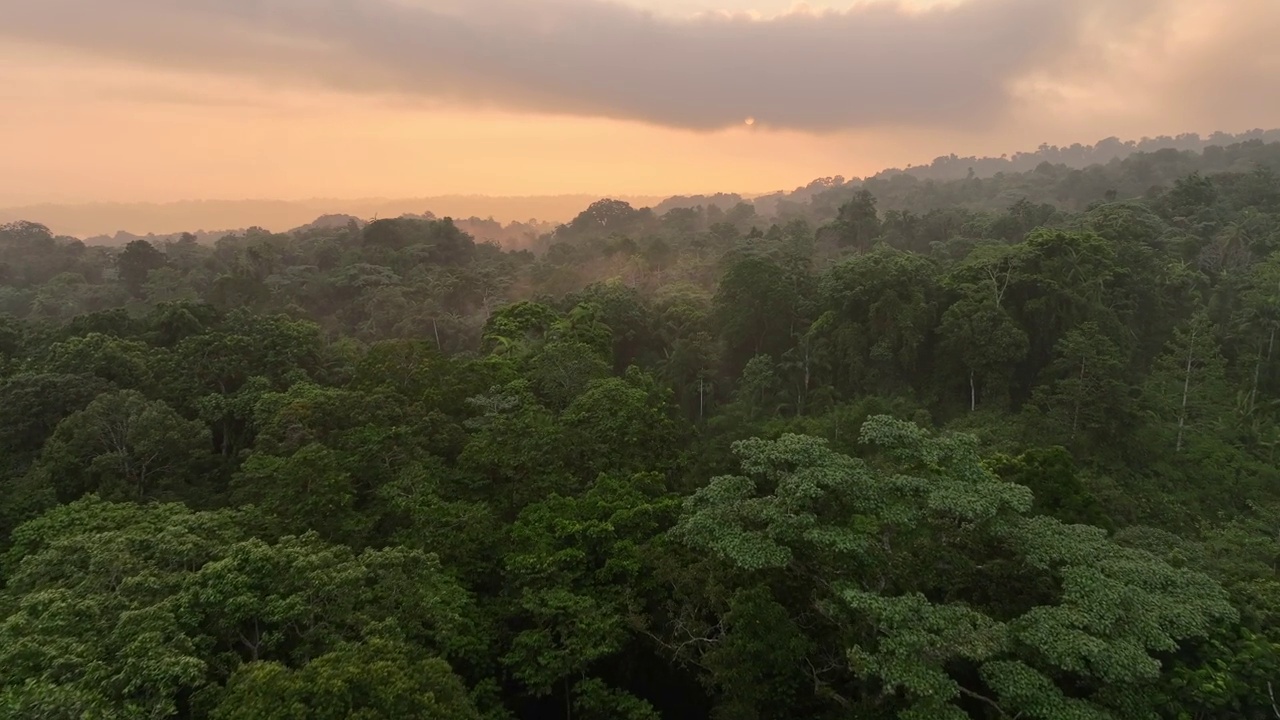 鸟瞰印尼摩鹿加岛哈马赫拉岛茂密的雨林。视频素材