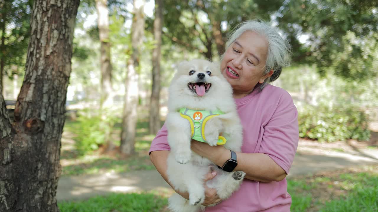 养狗的老妇人视频下载