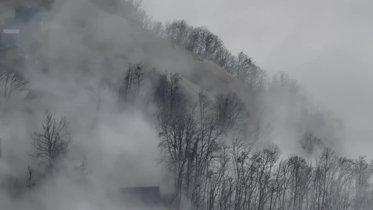 在瑞士瓦尔德的薄雾中，冬天的低语。空中视频素材