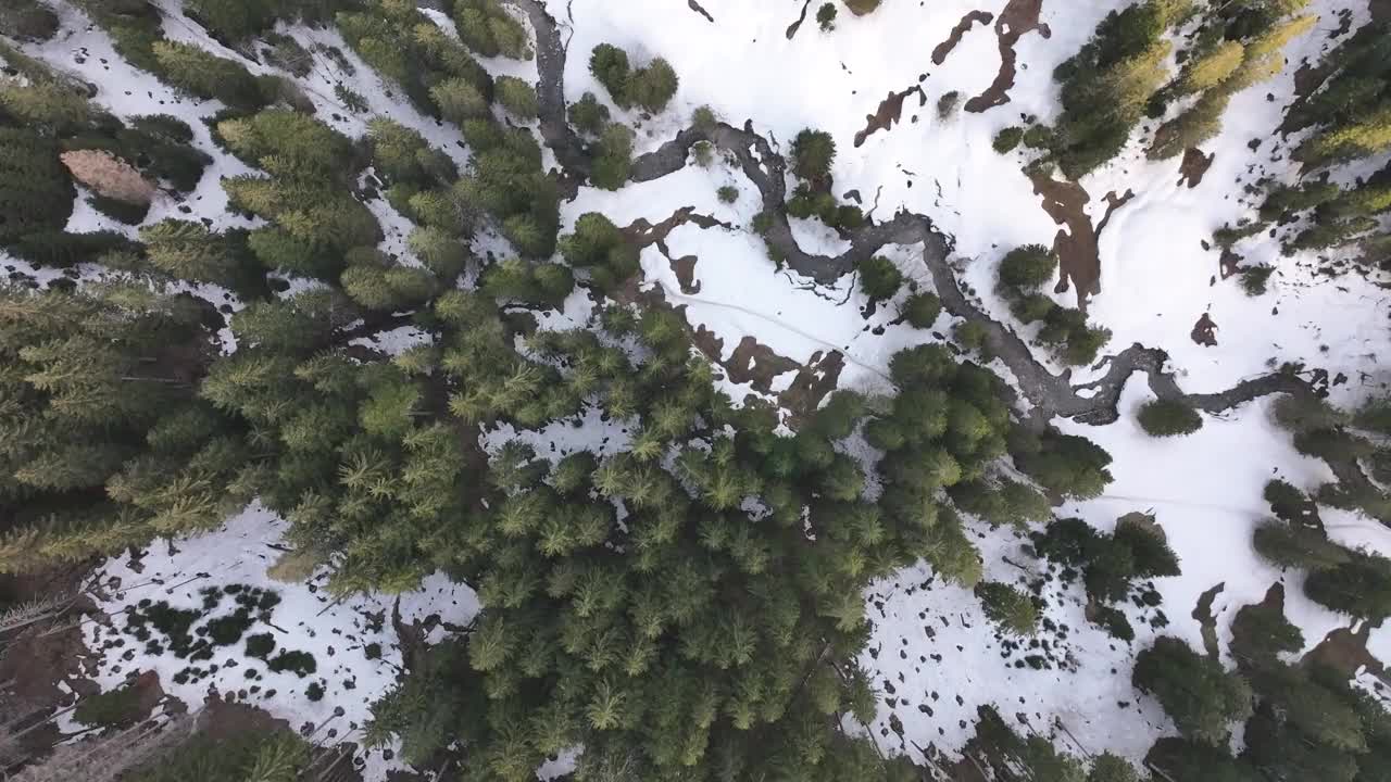 宁静的白雪覆盖的Amden Weesen松树，空中俯瞰瑞士阿尔卑斯山视频素材