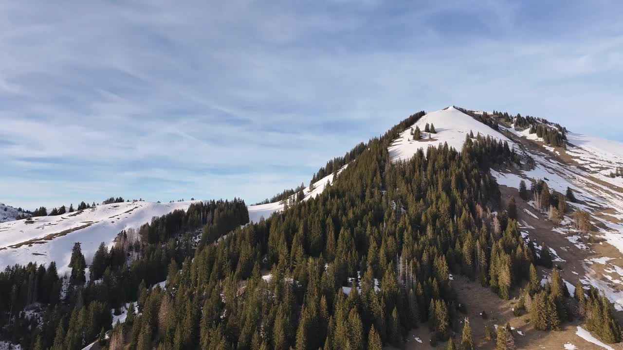 瑞士格拉鲁斯Churfirsten山坡上的冬松视频素材