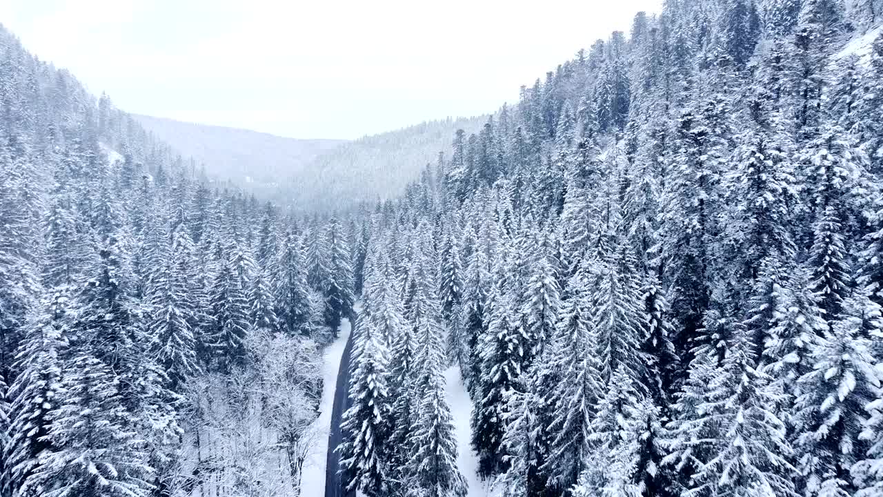 空中拍摄的冬季山地白雪皑皑常绿树木景观视频素材