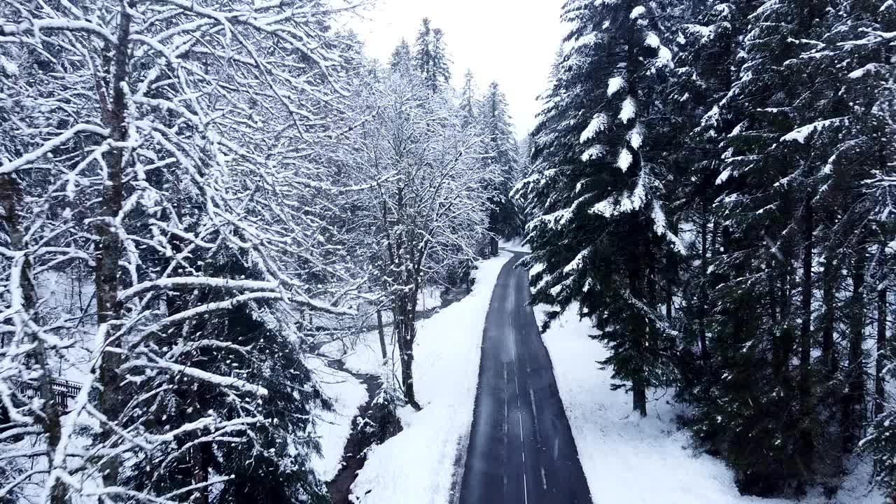 从空中俯瞰，在被雪覆盖的常绿树木中，一条冬天的乡村道路倾斜向下视频素材