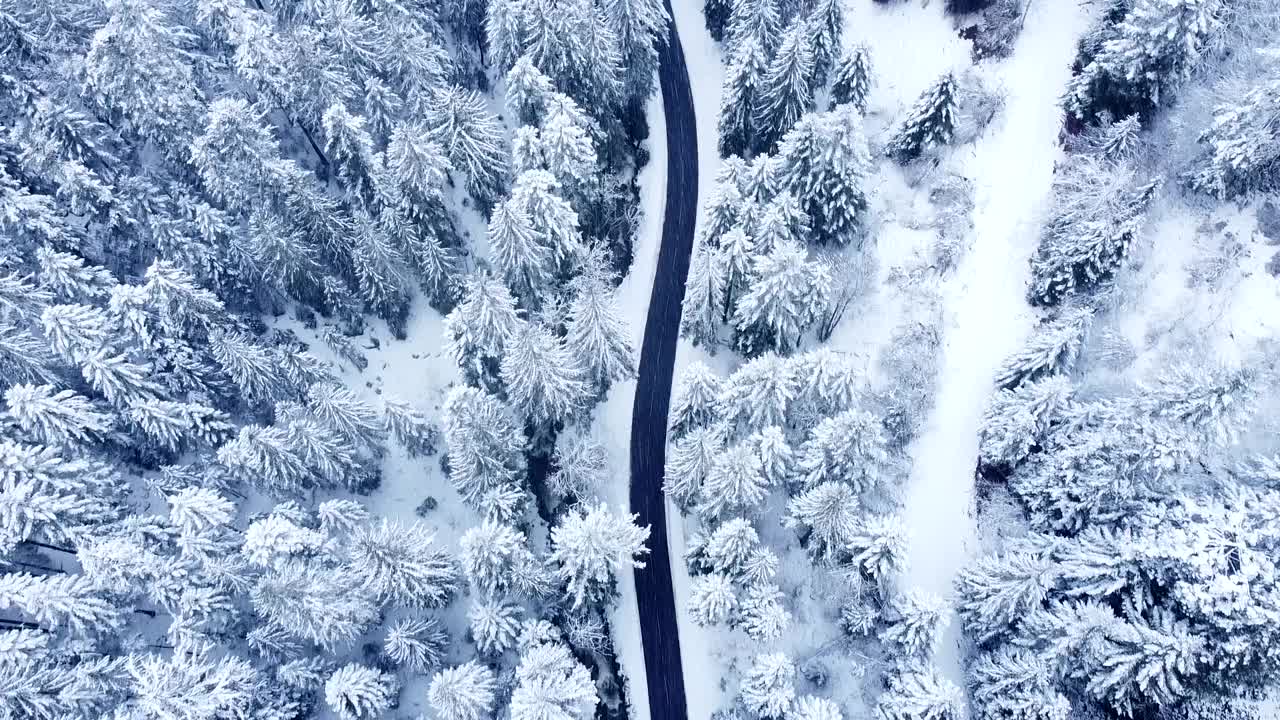 从空中俯瞰，在被雪覆盖的常绿树木中，一条乡村公路在冬天缓慢飞行视频素材