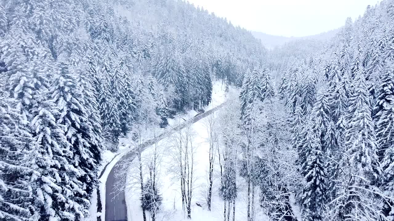 冬季航拍的常绿树木被雪覆盖，沿着乡村山路视频素材