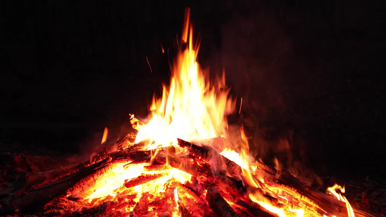 林地火焰:拥抱大自然篝火的魅力视频素材