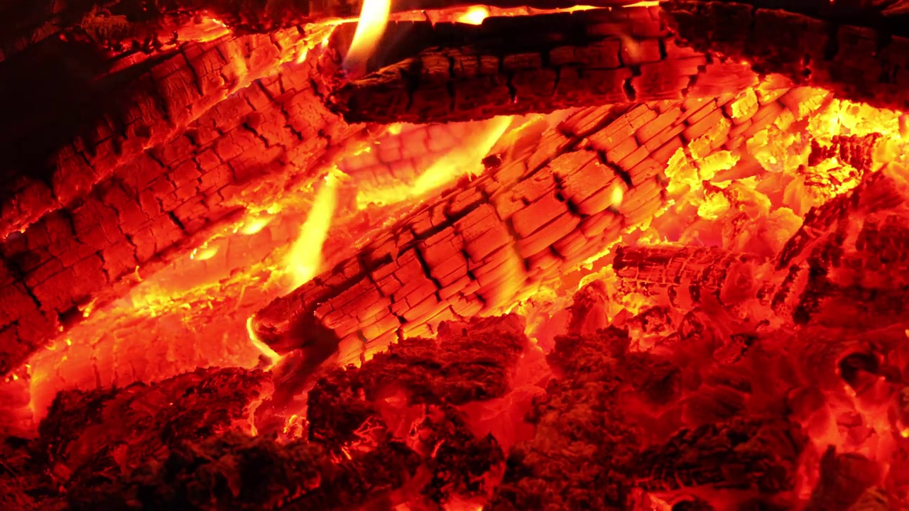 森林之炉:在大自然的火焰中培育灵魂视频下载