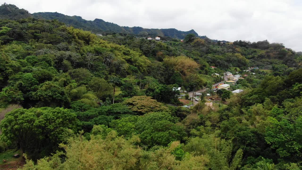 郁郁葱葱的格林纳达雨林，小型社区道路穿过茂密的树叶视频素材