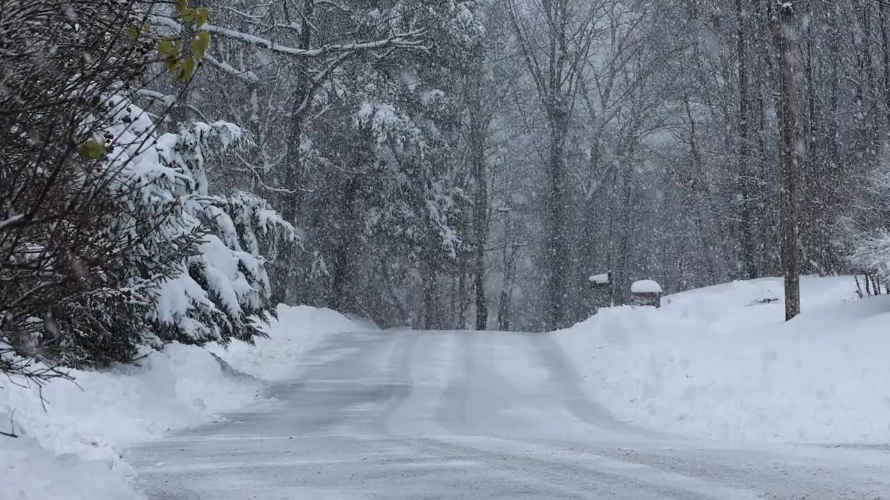 在暴风雪中向下看，乡村被雪覆盖的道路两旁排列着树木视频下载