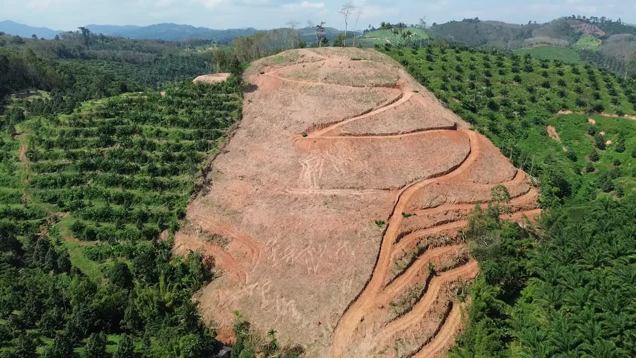 山无林，山毁。视频下载