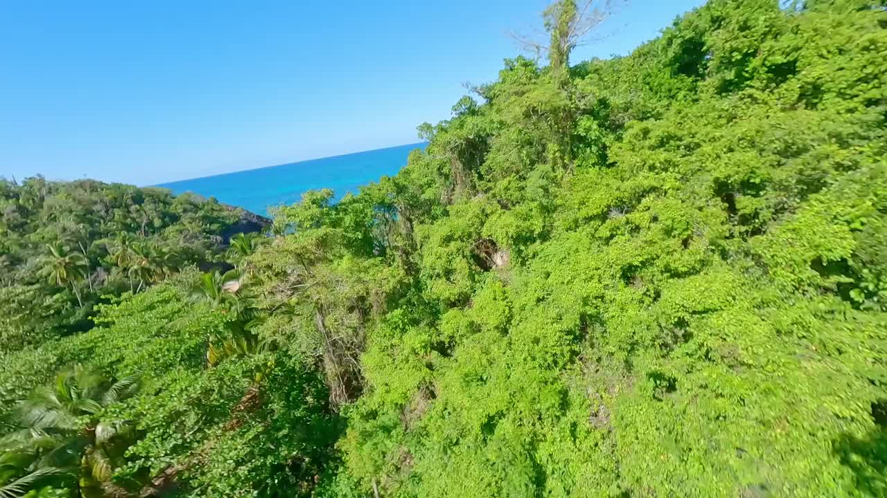 透过树木，Playa Onda海滩的自然美景，萨马纳，多米尼加共和国视频素材