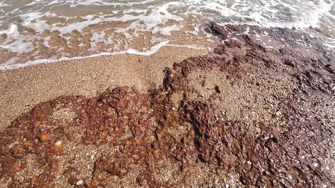 海滩上的海浪。视频下载