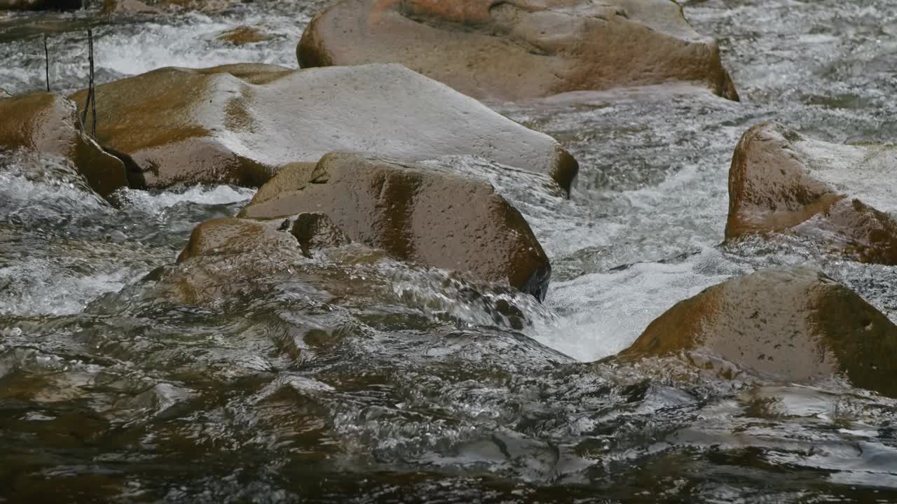 水在光滑的河岩上流动的特写。环境主题和纹理设计的自然细节概念视频素材