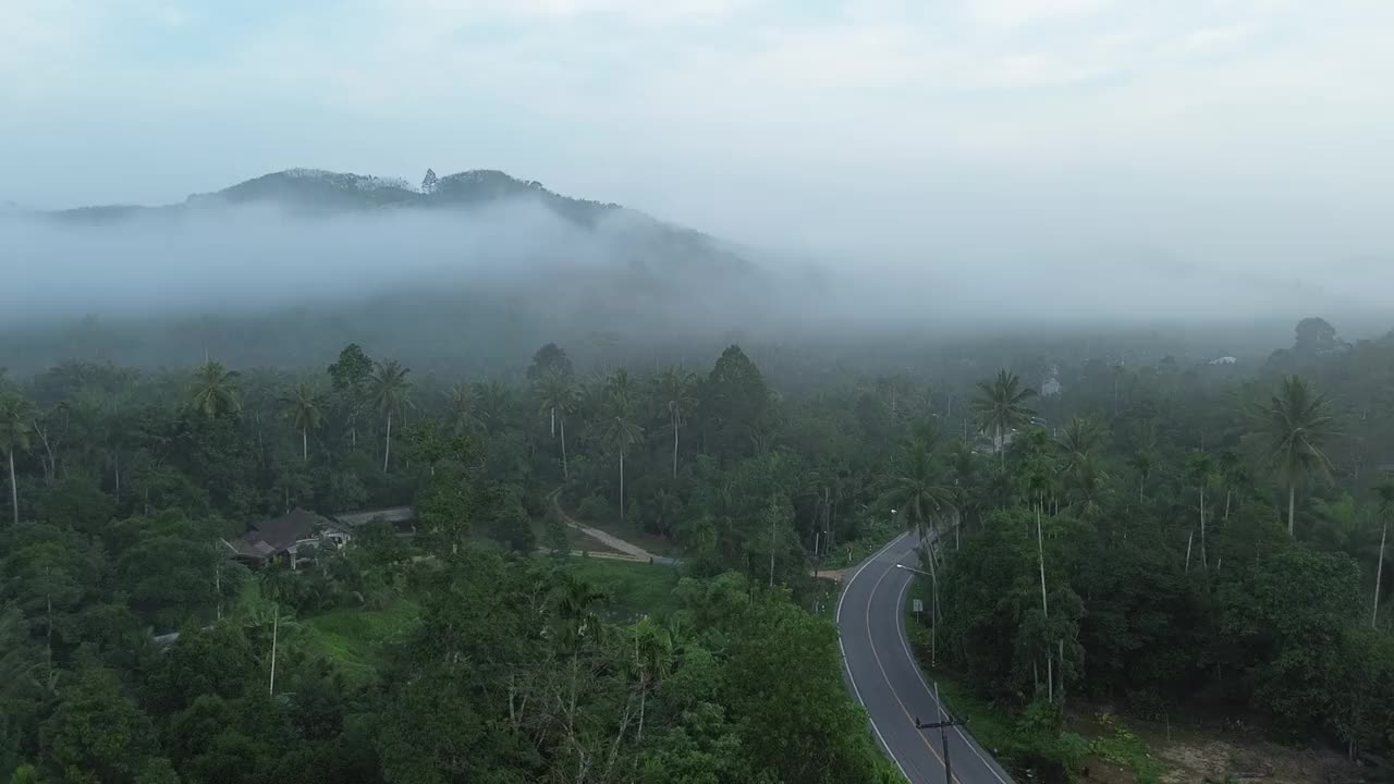 山上有美丽的雾。视频下载