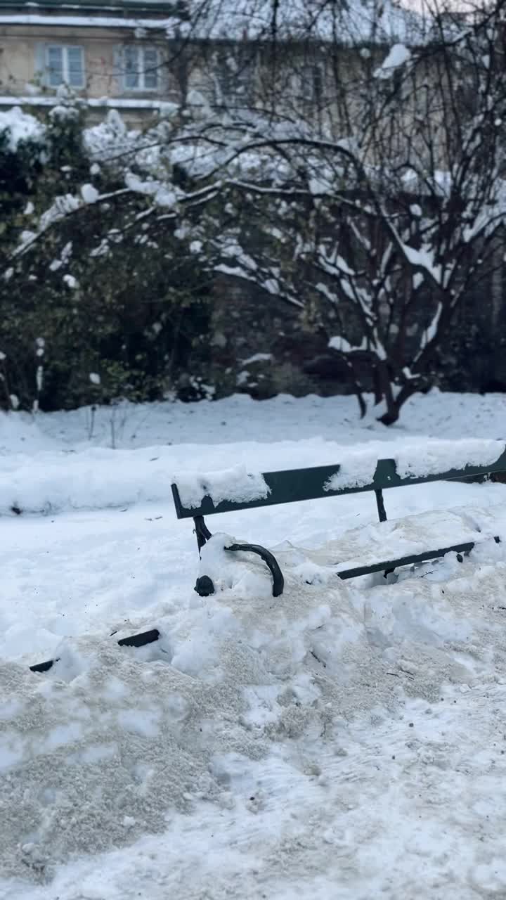 公园长椅，雪，树，冬天视频素材