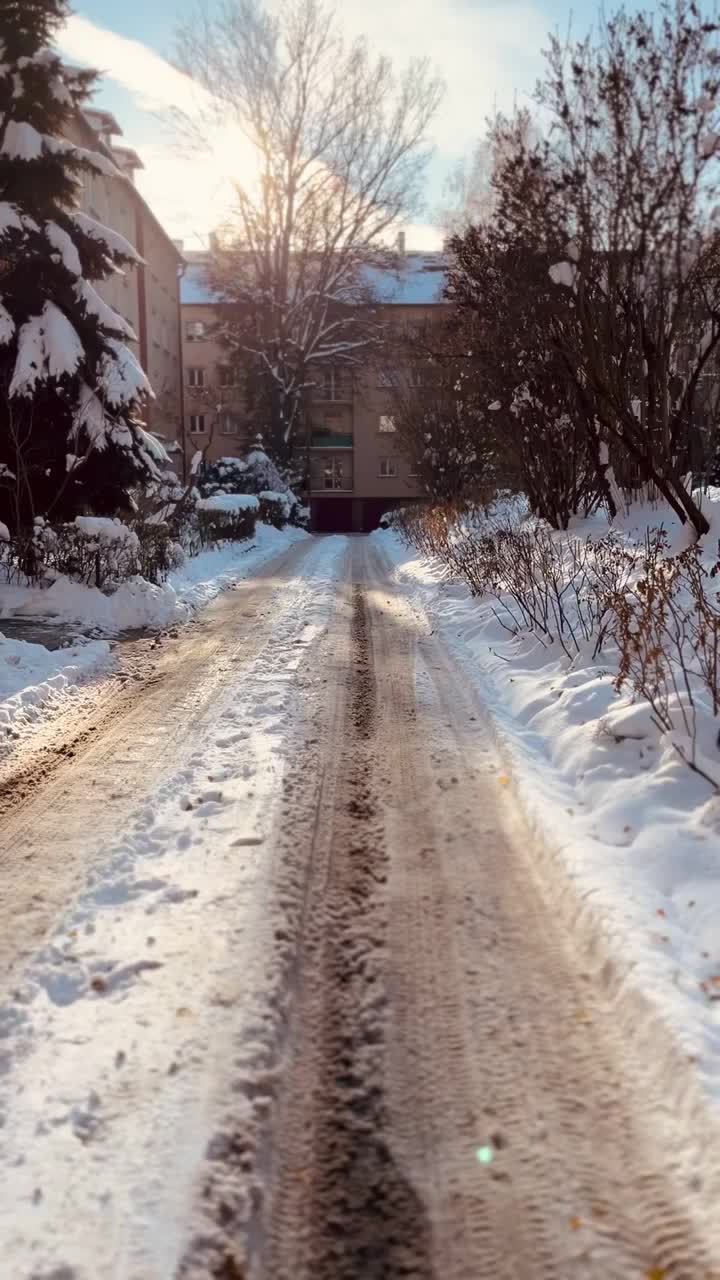 阳光下的雪路视频素材