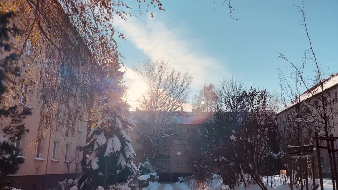 阳光下的雪路视频素材