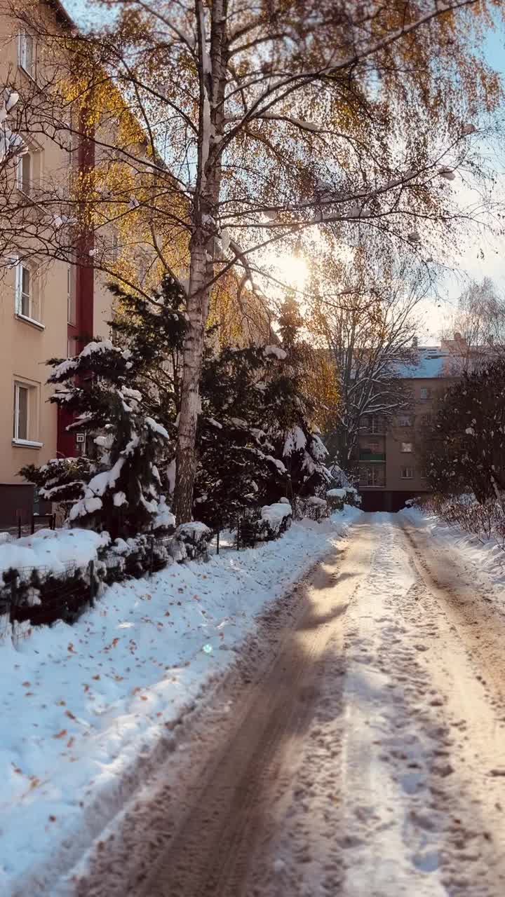 阳光下的雪路视频素材