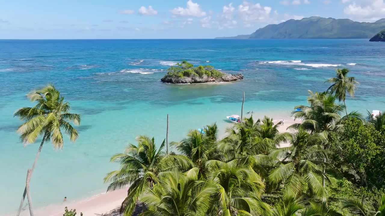 在热带蔚蓝的加勒比海，埃米塔诺斯海滩的棕榈树树冠上，风景优美视频素材