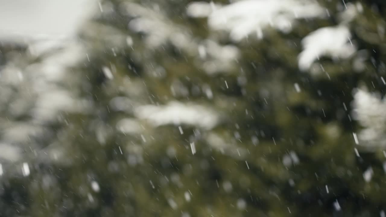 雪花飘落的慢动作。降雪与模糊的背景在外面的自然。视频素材