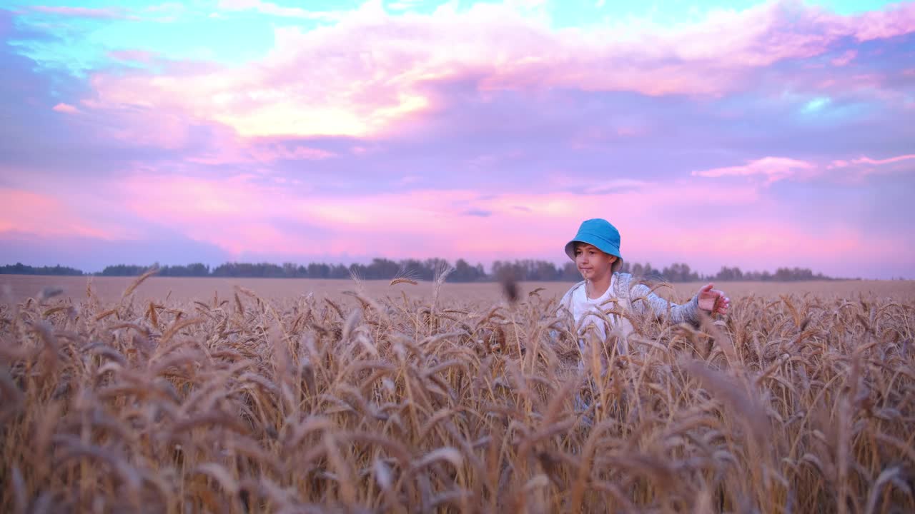 大自然的游乐场:麦田里孩子们的黄昏之旅视频素材