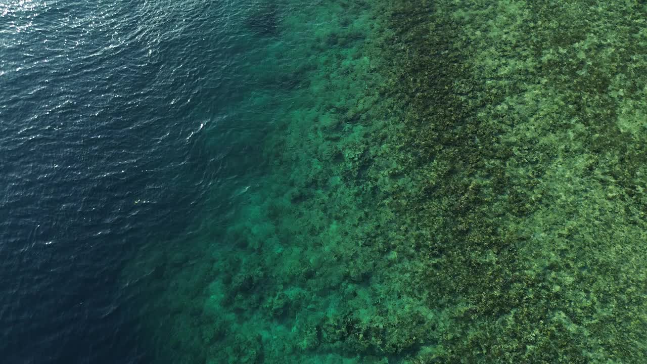 鸟瞰蓝绿色海水中的珊瑚礁视频素材