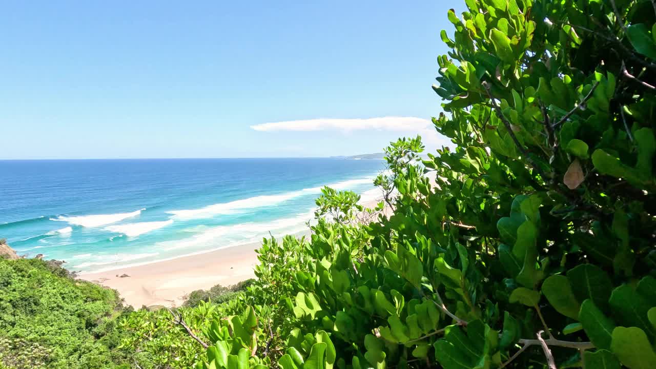 风景秀丽的海滩景观透过树叶视频素材