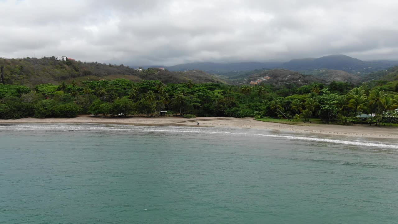 格林纳达宁静的塞格雷斯海滩，郁郁葱葱的树叶和一个人在岸边，鸟瞰图视频素材