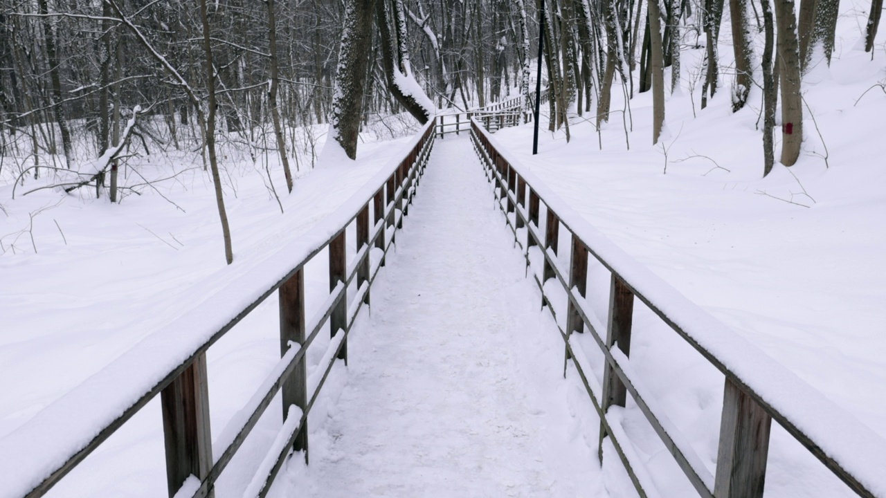 冬日仙境如雪毯般等待着你视频下载