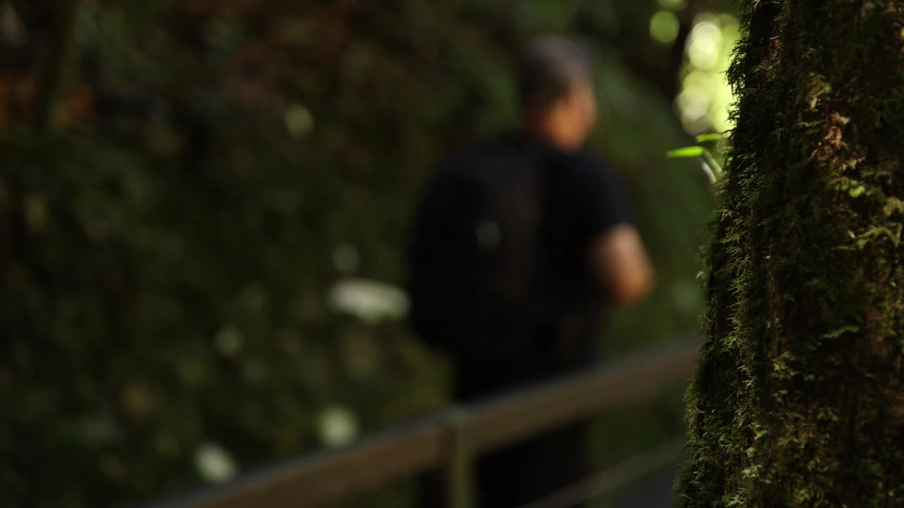 穿过雨林的人停下来拍照视频素材