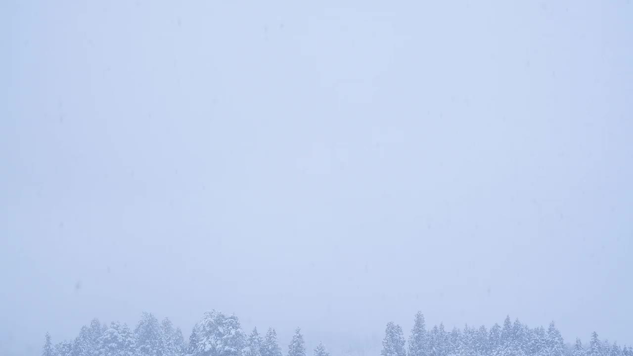 冬天的天空背景，大的复制空间，飘落的雪和树木视频素材