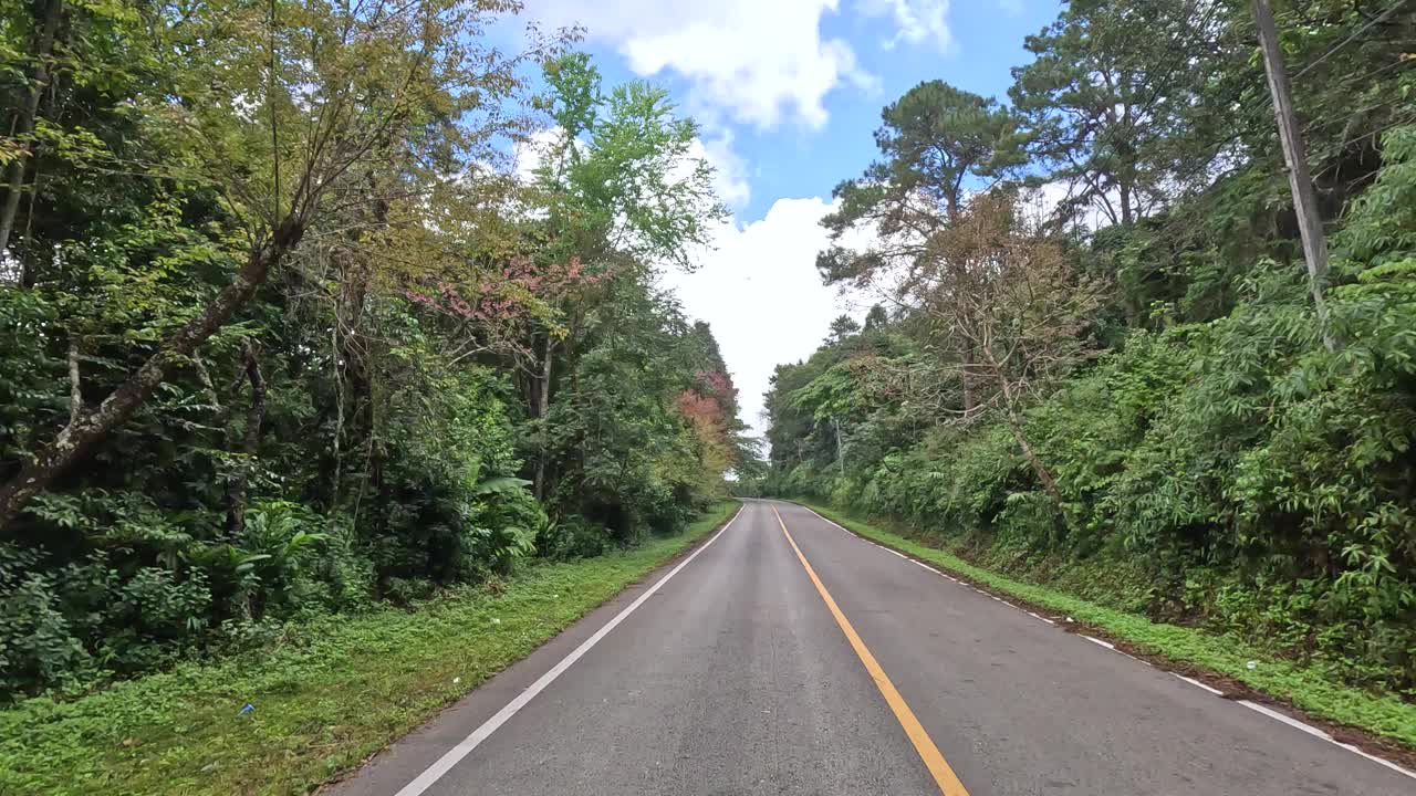 穿越森林的风景公路之旅视频素材