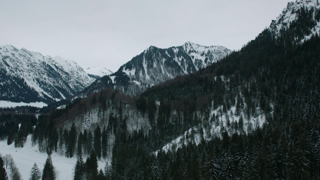 多云的冬天，白雪覆盖的山林茂密，鸟瞰图视频素材