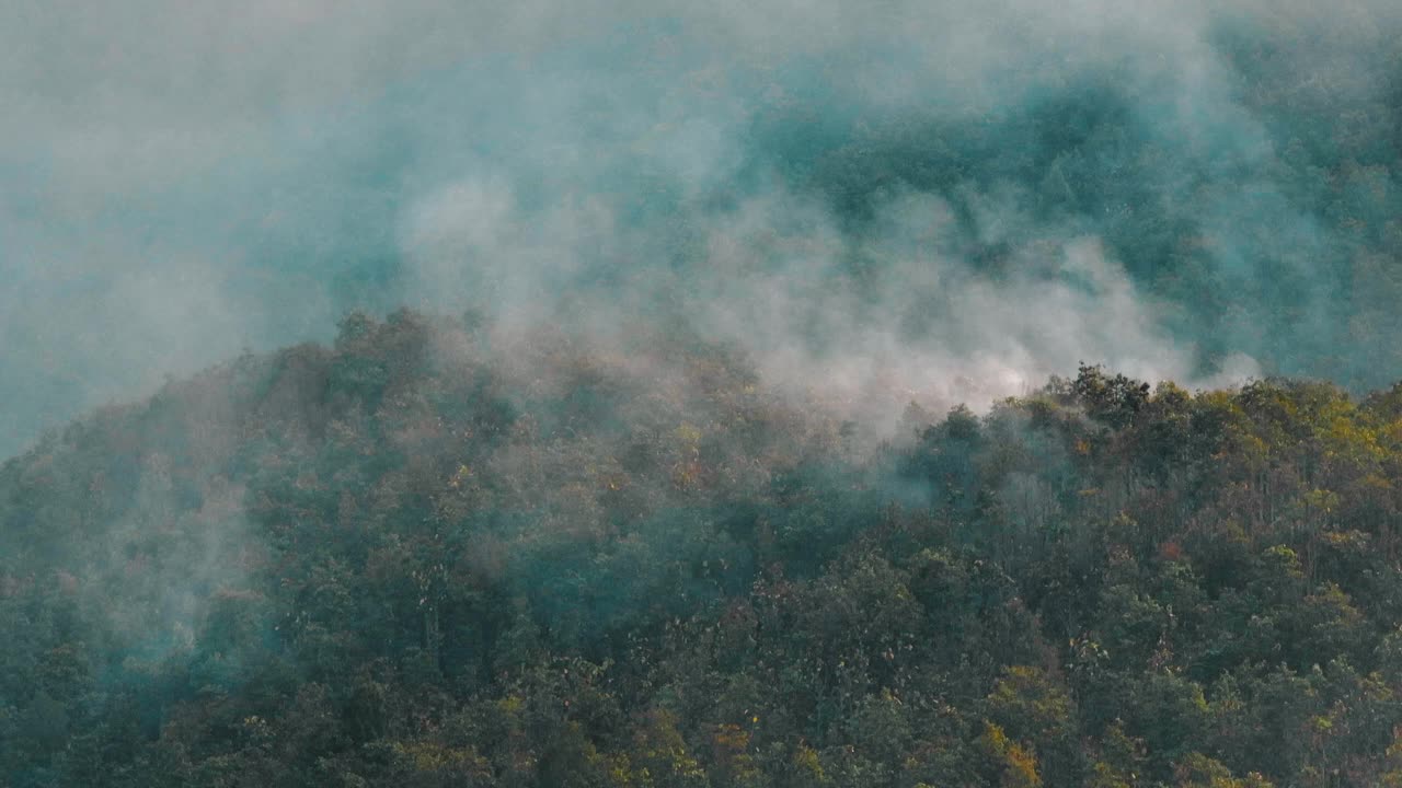 航拍污染山地和热带森林野火灾害视频素材