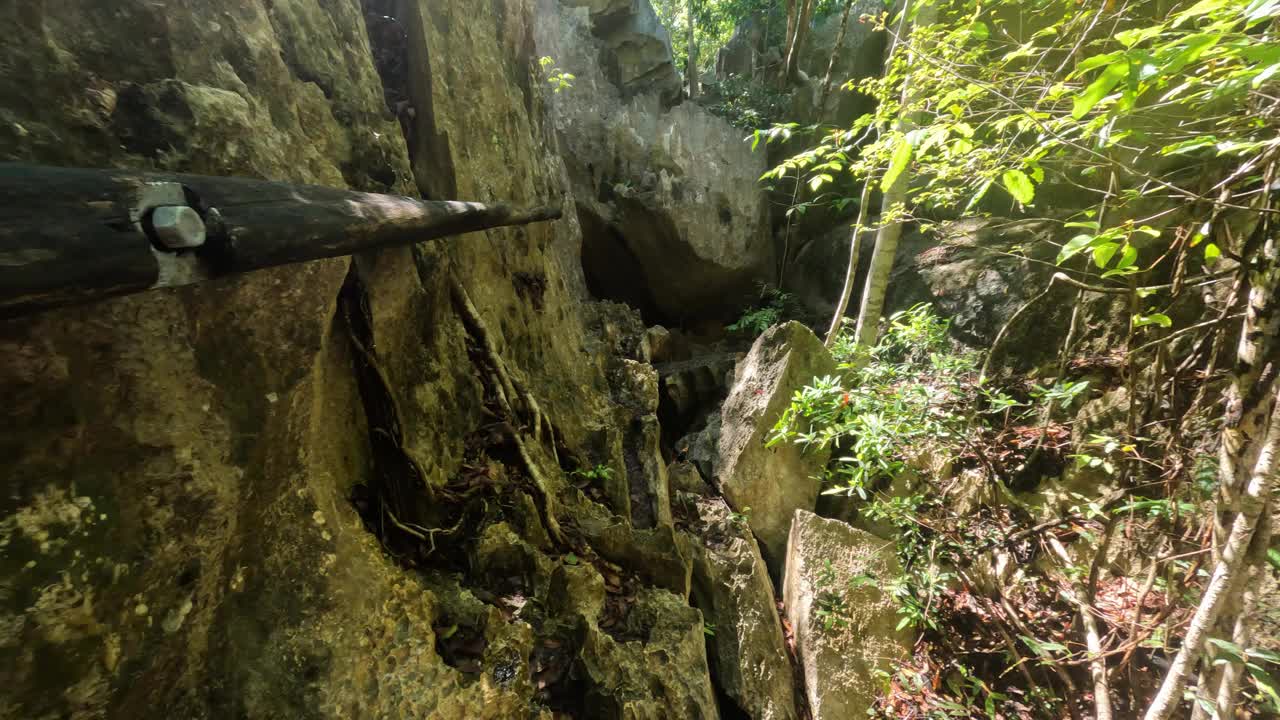 徒步旅行的小青岛德贝马拉哈，严格的自然保护区位于马达加斯加西海岸附近。具有独特地理位置的联合国教科文组织世界遗产。马达加斯加荒野景观视频下载