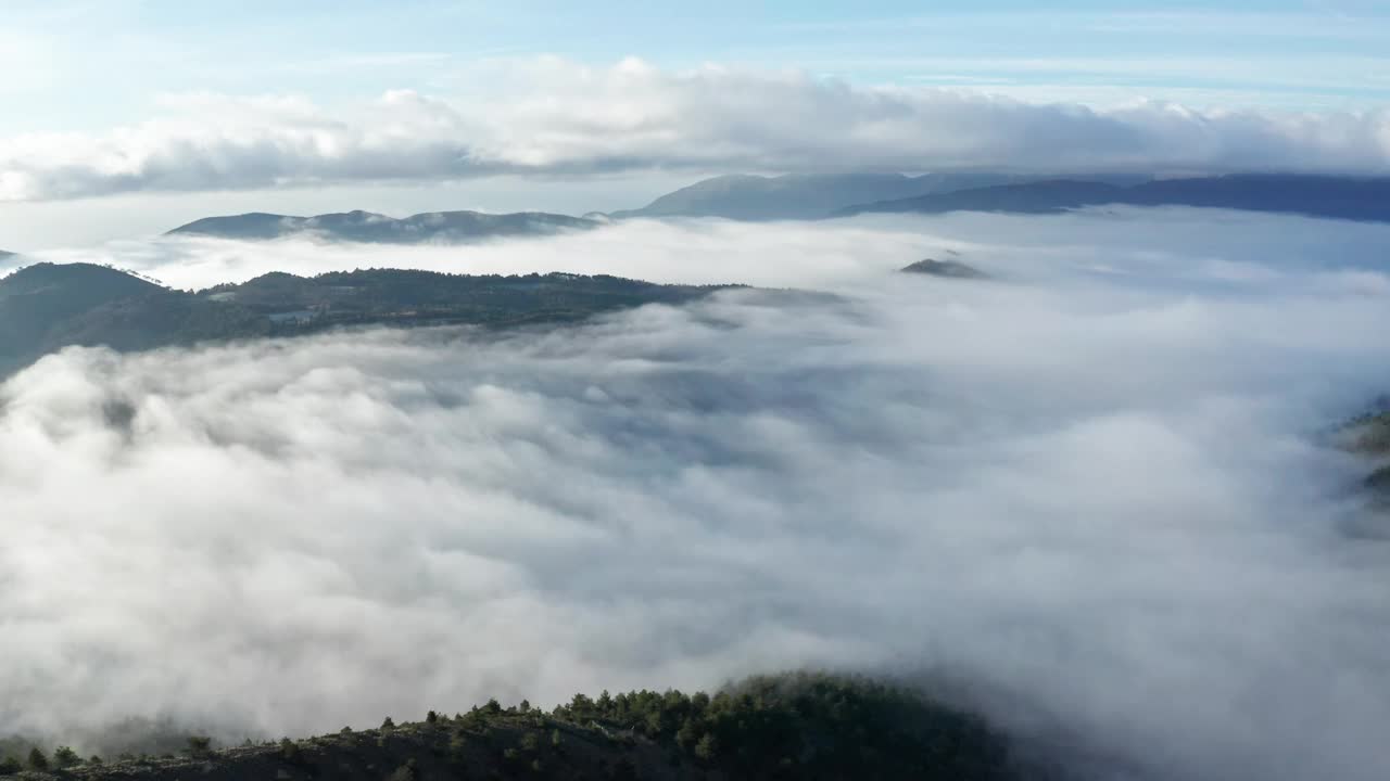 云雾缭绕的山峦，树梢从云海中浮现，一派宁静的自然风光视频素材