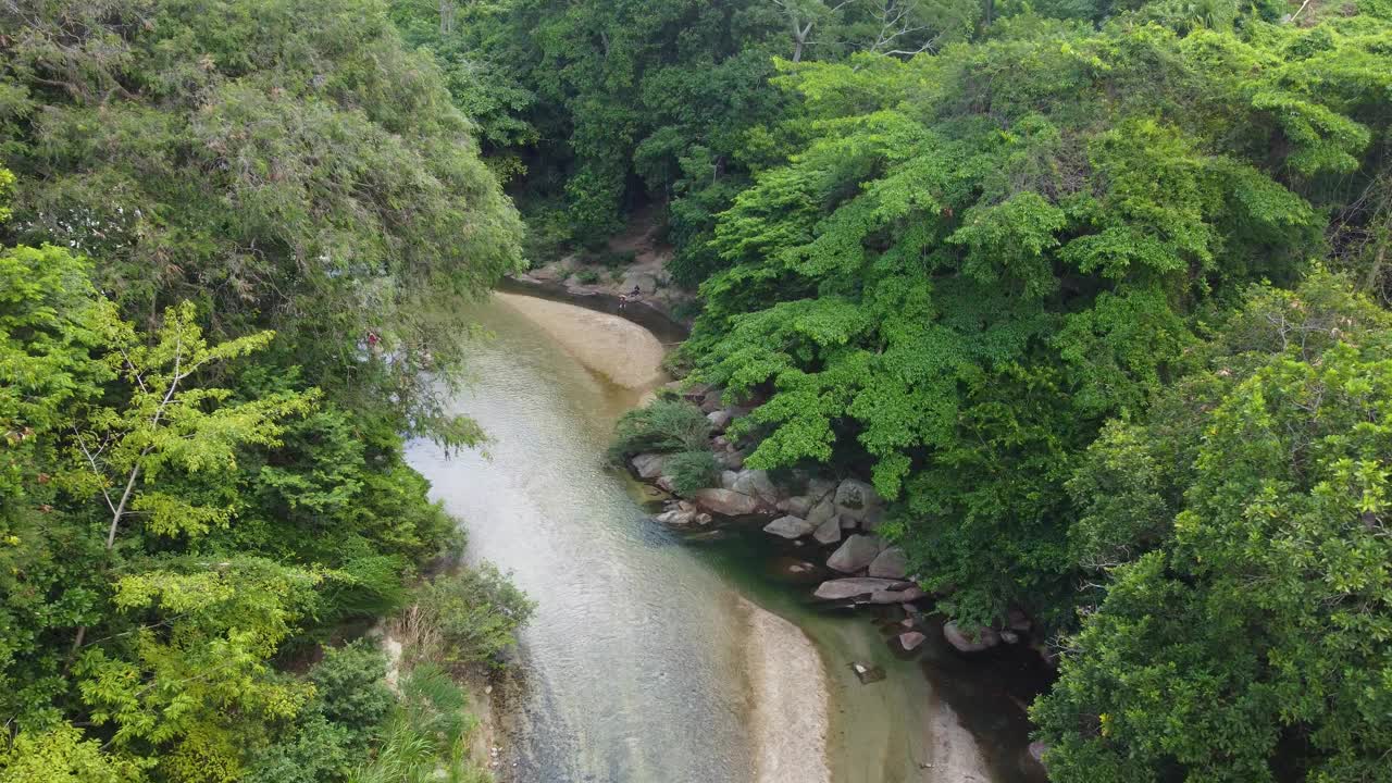 航拍的一条蜿蜒的河流在白天穿过茂密的绿色森林，宁静而原始视频素材