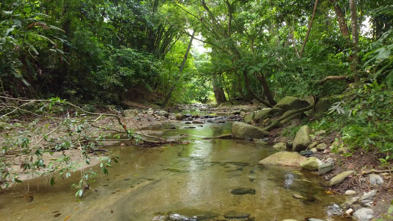 在哥伦比亚茂密的森林里，河水缓缓流淌。无人机的观点视频素材