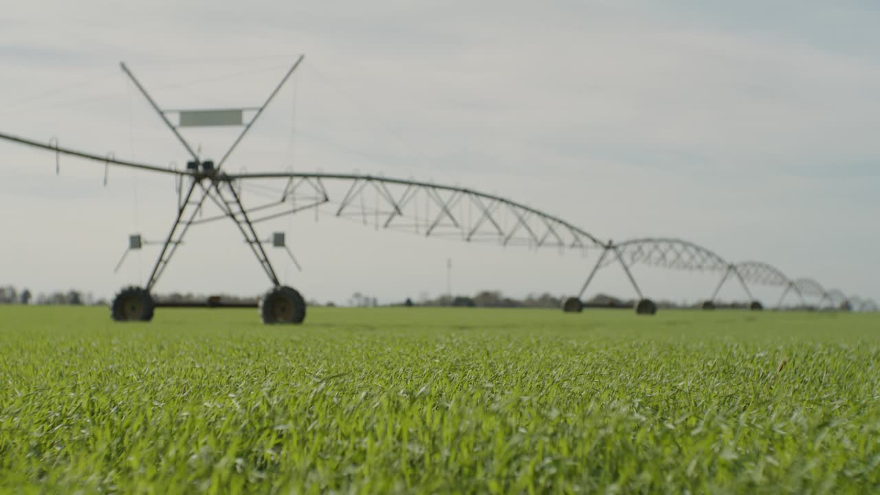 SLO MO起重机拍摄的灌溉机械，新鲜的草在阳光明媚的日子里摇曳视频素材